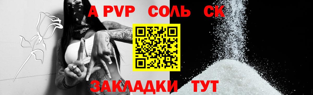 APVP СК КРИС  А ПВП  Вход с VPN  Курчалой  Альфа ПВП СК 