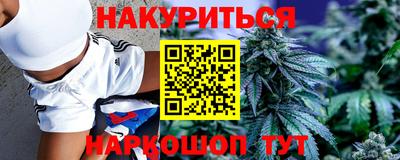 спиды Дубна