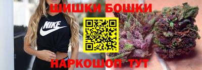 спиды Дубна