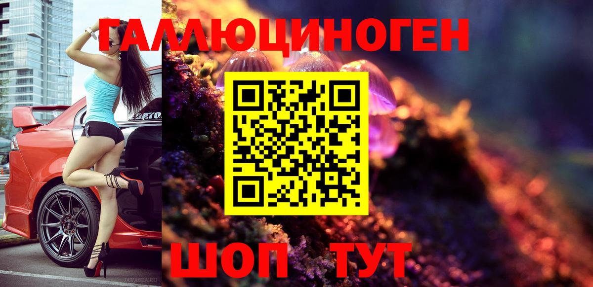 Псилоцибиновые грибы прущие грибы  Псилоцибиновые грибы прущие грибы  Курчалой  Вход с VPN 